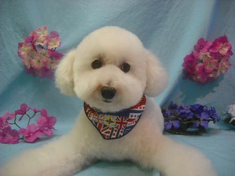 ファイル 3939-1.jpg