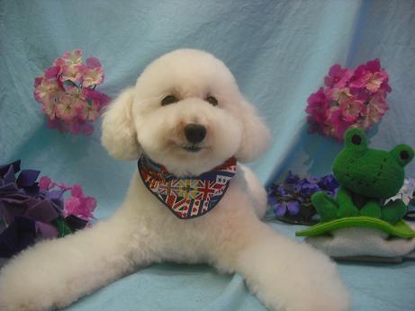 ファイル 3939-2.jpg