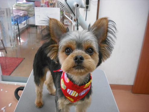 ファイル 394-1.jpg