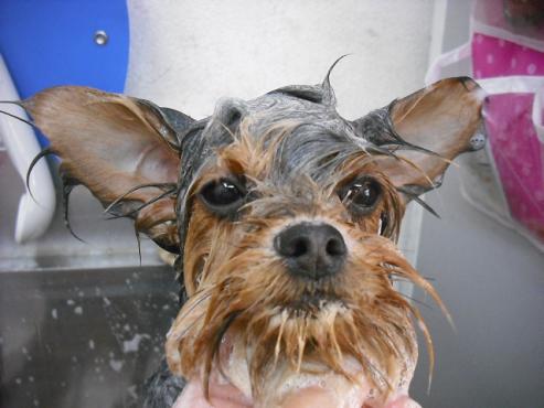 ファイル 394-3.jpg