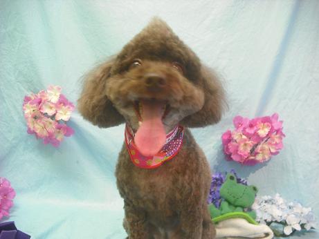 ファイル 3940-1.jpg