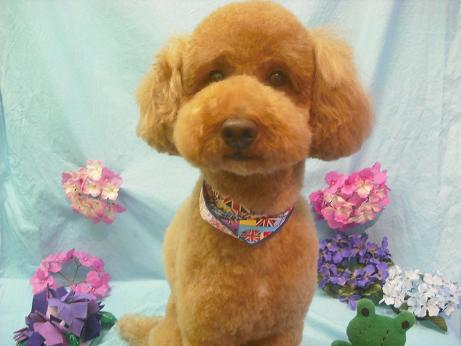 ファイル 3941-1.jpg