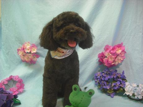 ファイル 3943-1.jpg