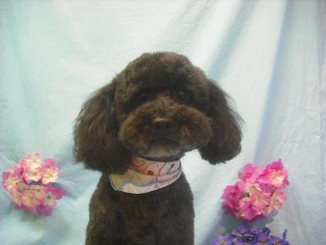 ファイル 3943-2.jpg