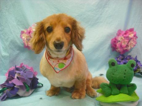 ファイル 3944-2.jpg