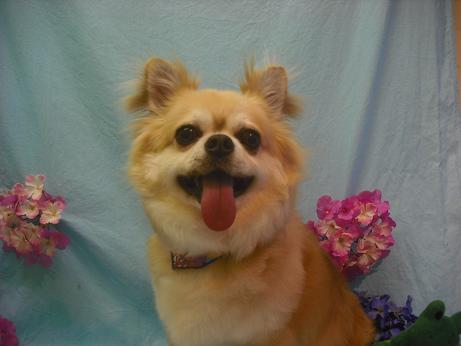 ファイル 3945-1.jpg