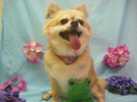 ファイル 3945-2.jpg