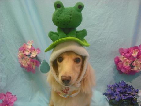 ファイル 3946-1.jpg