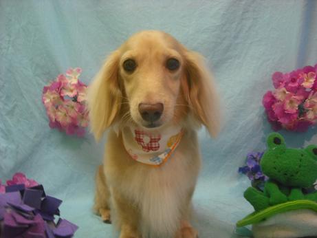 ファイル 3946-2.jpg