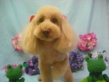 ファイル 3947-2.jpg