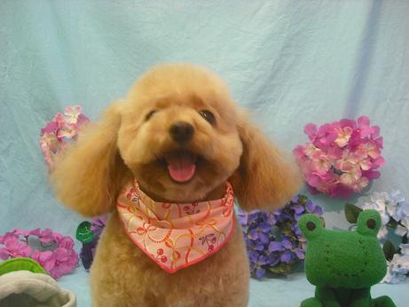 ファイル 3948-2.jpg