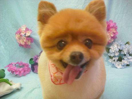 ファイル 3949-2.jpg