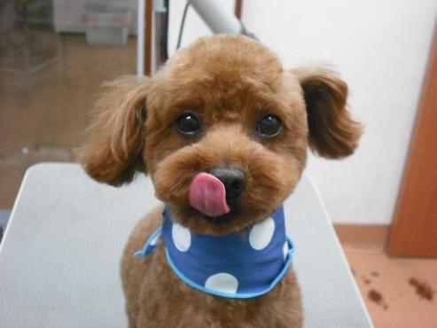 ファイル 395-1.jpg