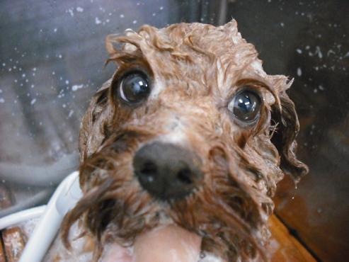 ファイル 395-2.jpg