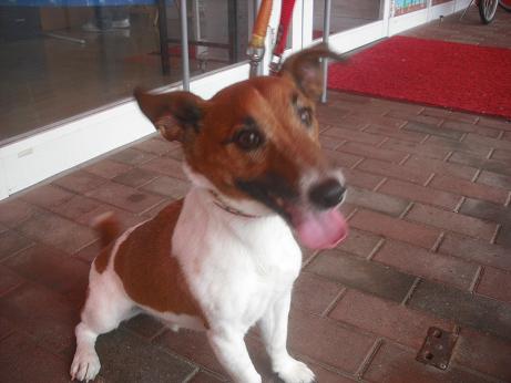 ファイル 3950-2.jpg