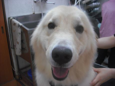 ファイル 3953-1.jpg