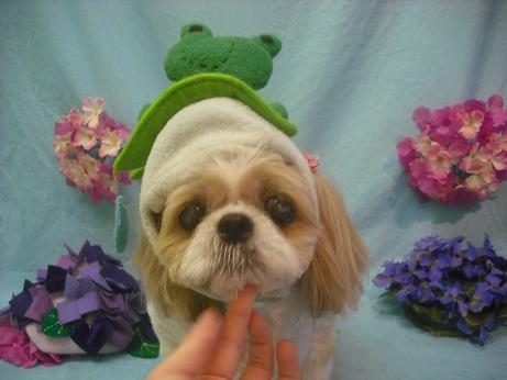 ファイル 3955-1.jpg