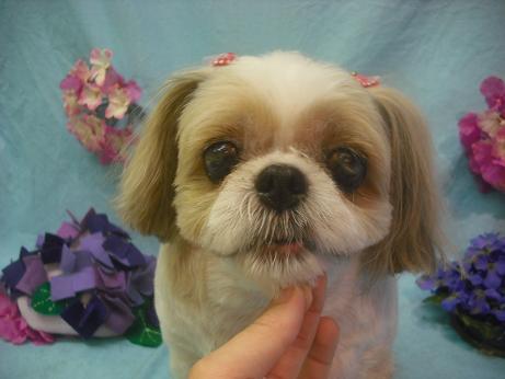 ファイル 3955-2.jpg