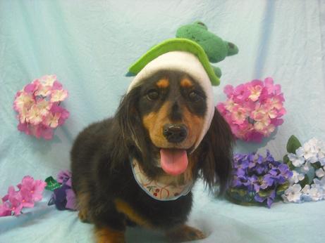 ファイル 3956-1.jpg