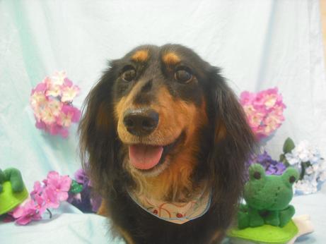 ファイル 3956-2.jpg