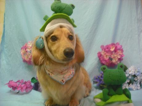 ファイル 3957-1.jpg