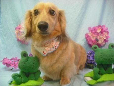 ファイル 3957-2.jpg