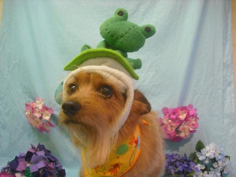 ファイル 3958-1.jpg