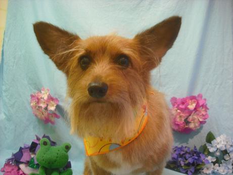 ファイル 3958-2.jpg