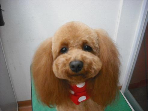 ファイル 396-1.jpg