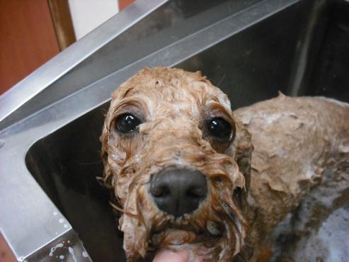 ファイル 396-2.jpg