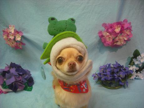 ファイル 3961-1.jpg