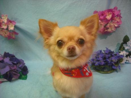 ファイル 3961-2.jpg