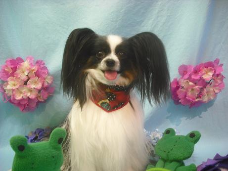 ファイル 3962-2.jpg