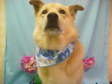 ファイル 3963-1.jpg