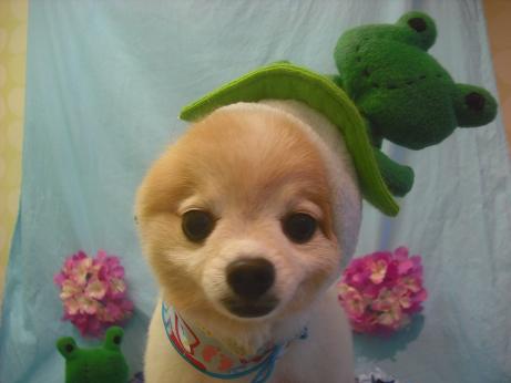 ファイル 3964-1.jpg