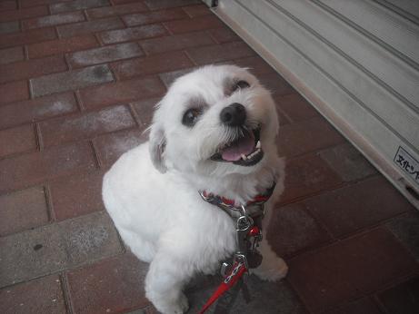 ファイル 3969-2.jpg