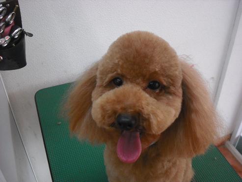 ファイル 397-1.jpg