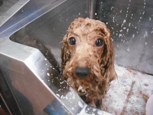 ファイル 397-2.jpg