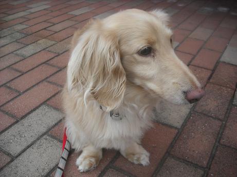 ファイル 3970-2.jpg