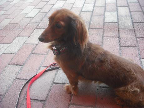 ファイル 3971-2.jpg