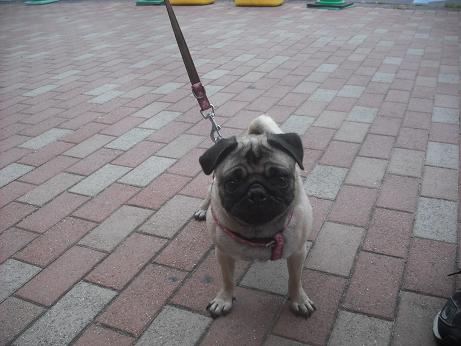 ファイル 3974-3.jpg