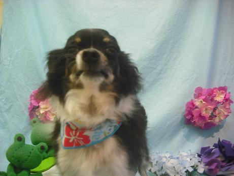 ファイル 3977-1.jpg