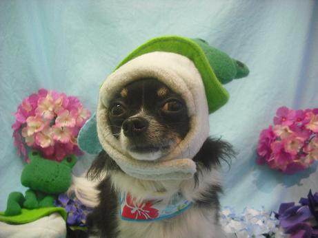 ファイル 3977-2.jpg