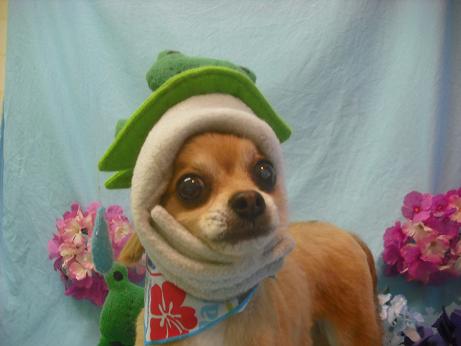 ファイル 3978-2.jpg