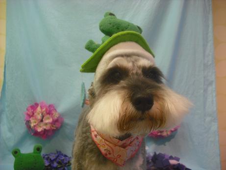 ファイル 3979-1.jpg