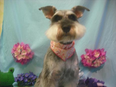 ファイル 3979-2.jpg