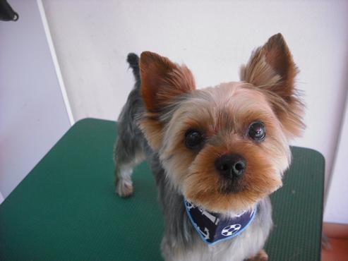 ファイル 398-1.jpg