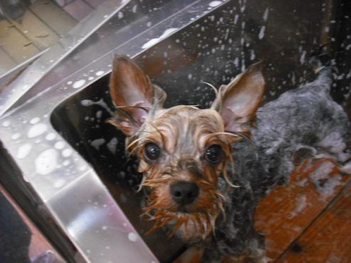 ファイル 398-2.jpg