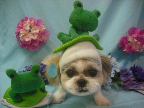 ファイル 3980-1.jpg