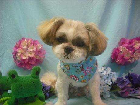 ファイル 3980-2.jpg